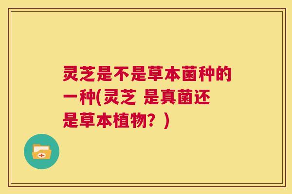 灵芝是不是草本菌种的一种(灵芝 是真菌还是草本植物?) 第1张 灵芝是不是草本菌种的一种(灵芝 是真菌还是草本植物?) 第1张