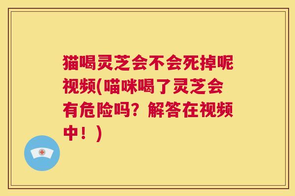 猫喝灵芝会不会死掉呢视频(喵咪喝了灵芝会有危险吗？解答在视频中！)  第1张