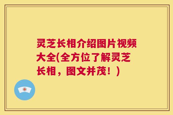 灵芝长相介绍图片视频大全(全方位了解灵芝长相,图文并茂!) 第1张 灵芝长相介绍图片视频大全(全方位了解灵芝长相,图文并茂!) 第1张