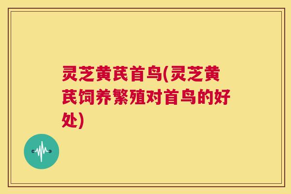 灵芝黄芪首鸟(灵芝黄芪饲养繁殖对首鸟的好处) 第1张 灵芝黄芪首鸟(灵芝黄芪饲养繁殖对首鸟的好处) 第1张