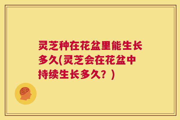 灵芝种在花盆里能生长多久(灵芝会在花盆中持续生长多久?) 第1张 灵芝种在花盆里能生长多久(灵芝会在花盆中持续生长多久?) 第1张