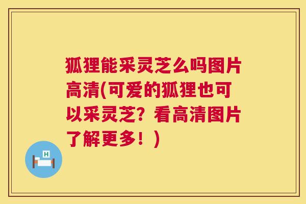 狐狸能采灵芝么吗图片高清(可爱的狐狸也可以采灵芝?看高清图片了解更多!) 第1张 狐狸能采灵芝么吗图片高清(可爱的狐狸也可以采灵芝?看高清图片了解更多!) 第1张