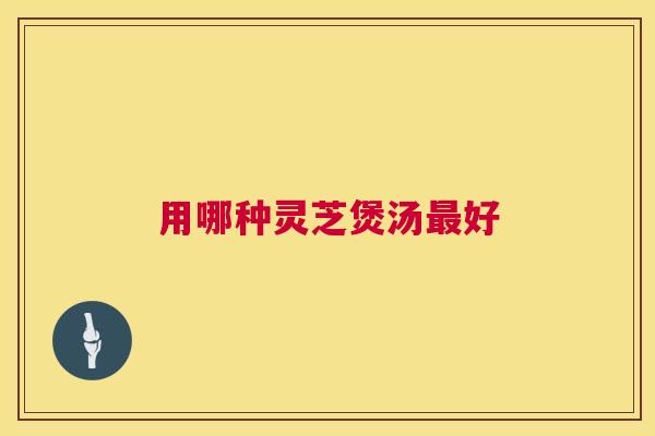 用哪种灵芝煲汤最好  第1张