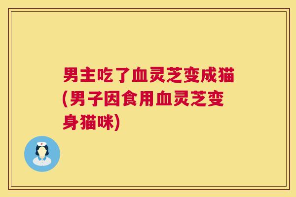 男主吃了血灵芝变成猫(男子因食用血灵芝变身猫咪)  第1张