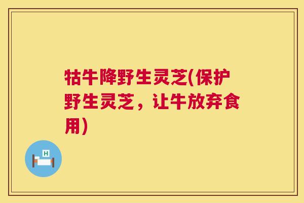 牯牛降野生灵芝(保护野生灵芝,让牛放弃食用) 第1张 牯牛降野生灵芝(保护野生灵芝,让牛放弃食用) 第1张