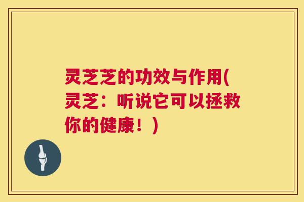 灵芝芝的功效与作用(灵芝:听说它可以拯救你的健康!) 第1张 灵芝芝的功效与作用(灵芝:听说它可以拯救你的健康!) 第1张