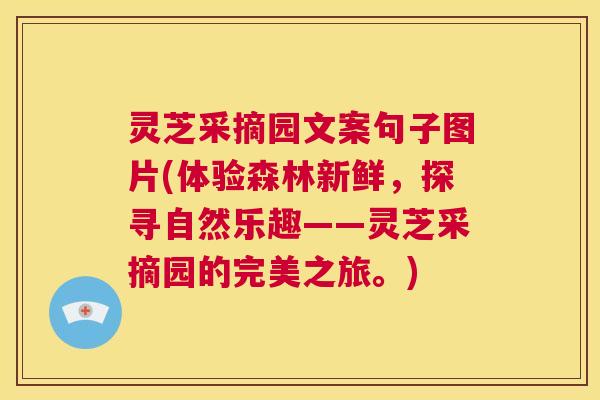灵芝采摘园文案句子图片(体验森林新鲜,探寻自然乐趣——灵芝采摘园的完美之旅。) 第1张 灵芝采摘园文案句子图片(体验森林新鲜,探寻自然乐趣——灵芝采摘园的完美之旅。) 第1张