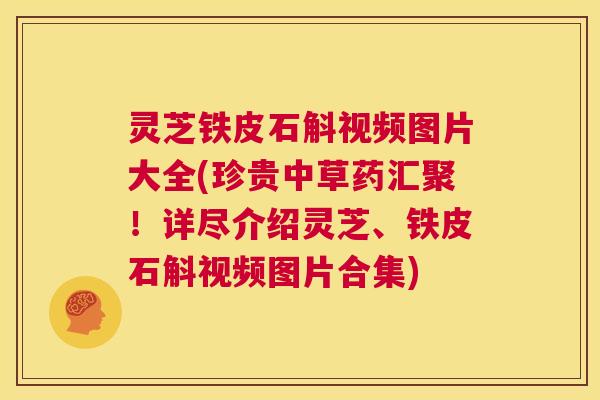 灵芝铁皮石斛视频图片大全(珍贵中草药汇聚!详尽介绍灵芝、铁皮石斛视频图片合集) 第1张 灵芝铁皮石斛视频图片大全(珍贵中草药汇聚!详尽介绍灵芝、铁皮石斛视频图片合集) 第1张