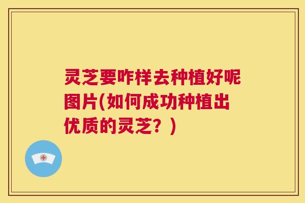 灵芝要咋样去种植好呢图片(如何成功种植出优质的灵芝？)  第1张