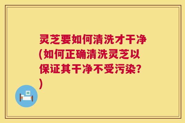 灵芝要如何清洗才干净(如何正确清洗灵芝以保证其干净不受污染？)  第1张