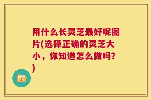 用什么长灵芝最好呢图片(选择正确的灵芝大小,你知道怎么做吗?) 第1张 用什么长灵芝最好呢图片(选择正确的灵芝大小,你知道怎么做吗?) 第1张