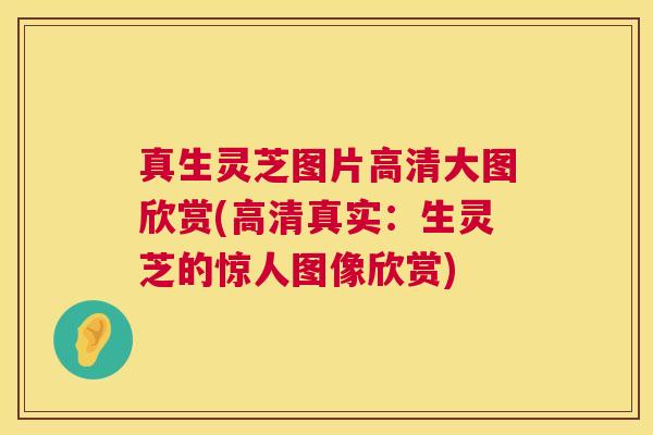 真生灵芝图片高清大图欣赏(高清真实:生灵芝的惊人图像欣赏) 第1张 真生灵芝图片高清大图欣赏(高清真实:生灵芝的惊人图像欣赏) 第1张