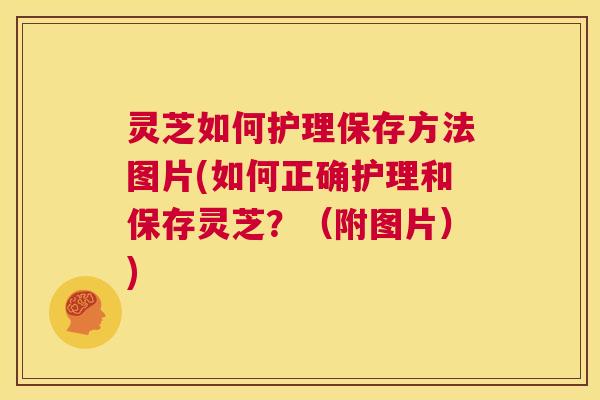 灵芝如何护理保存方法图片(如何正确护理和保存灵芝?(附图片)) 第1张 灵芝如何护理保存方法图片(如何正确护理和保存灵芝?(附图片)) 第1张