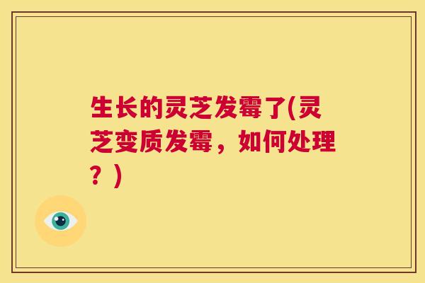 生长的灵芝发霉了(灵芝变质发霉,如何处理?) 第1张 生长的灵芝发霉了(灵芝变质发霉,如何处理?) 第1张