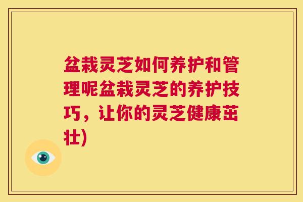 盆栽灵芝如何养护和管理呢盆栽灵芝的养护技巧,让你的灵芝健康茁壮) 第1张 盆栽灵芝如何养护和管理呢盆栽灵芝的养护技巧,让你的灵芝健康茁壮) 第1张