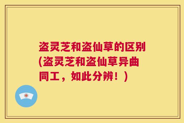 盗灵芝和盗仙草的区别(盗灵芝和盗仙草异曲同工,如此分辨!) 第1张 盗灵芝和盗仙草的区别(盗灵芝和盗仙草异曲同工,如此分辨!) 第1张