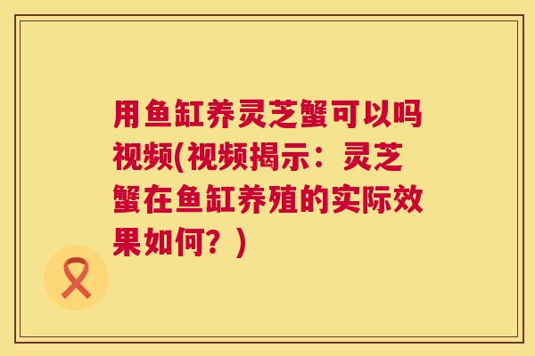 用鱼缸养灵芝蟹可以吗视频(视频揭示:灵芝蟹在鱼缸养殖的实际效果如何?) 第1张 用鱼缸养灵芝蟹可以吗视频(视频揭示:灵芝蟹在鱼缸养殖的实际效果如何?) 第1张