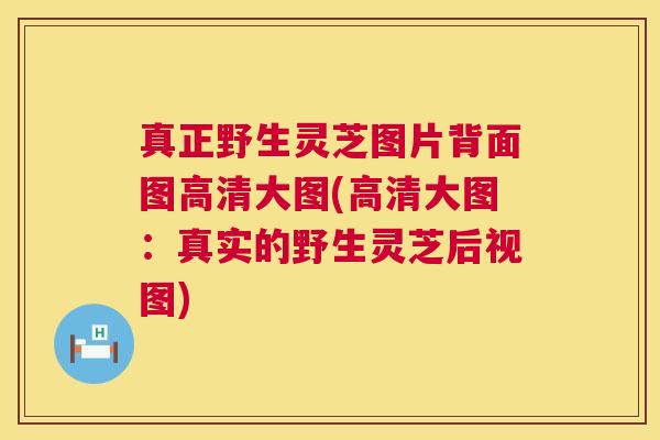 真正野生灵芝图片背面图高清大图(高清大图:真实的野生灵芝后视图) 第1张 真正野生灵芝图片背面图高清大图(高清大图:真实的野生灵芝后视图) 第1张
