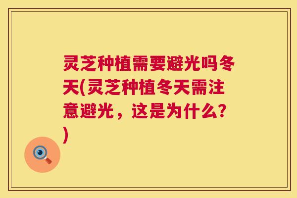 灵芝种植需要避光吗冬天(灵芝种植冬天需注意避光,这是为什么?) 第1张 灵芝种植需要避光吗冬天(灵芝种植冬天需注意避光,这是为什么?) 第1张