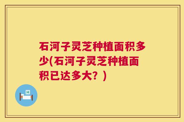 石河子灵芝种植面积多少(石河子灵芝种植面积已达多大?) 第1张 石河子灵芝种植面积多少(石河子灵芝种植面积已达多大?) 第1张