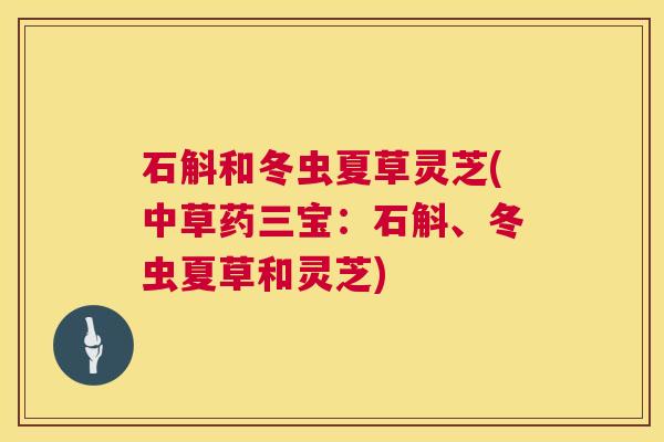 石斛和冬虫夏草灵芝(中草药三宝:石斛、冬虫夏草和灵芝) 第1张 石斛和冬虫夏草灵芝(中草药三宝:石斛、冬虫夏草和灵芝) 第1张