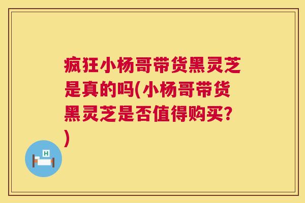 疯狂小杨哥带货黑灵芝是真的吗(小杨哥带货黑灵芝是否值得购买?) 第1张 疯狂小杨哥带货黑灵芝是真的吗(小杨哥带货黑灵芝是否值得购买?) 第1张