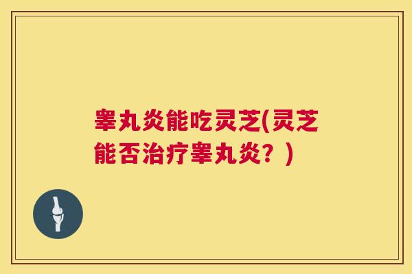 睾丸炎能吃灵芝(灵芝能否治疗睾丸炎?) 第1张 睾丸炎能吃灵芝(灵芝能否治疗睾丸炎?) 第1张