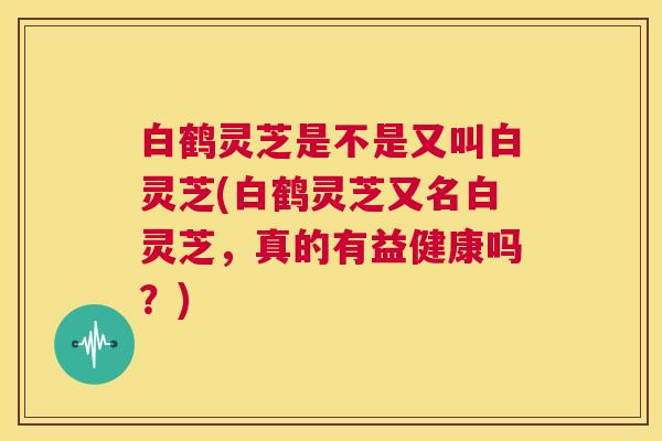 白鹤灵芝是不是又叫白灵芝(白鹤灵芝又名白灵芝,真的有益健康吗?) 第1张 白鹤灵芝是不是又叫白灵芝(白鹤灵芝又名白灵芝,真的有益健康吗?) 第1张