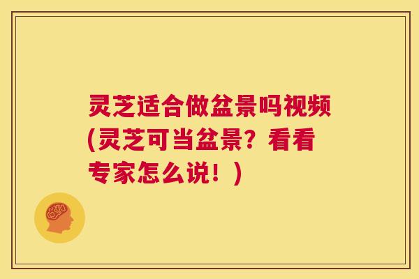 灵芝适合做盆景吗视频(灵芝可当盆景?看看专家怎么说!) 第1张 灵芝适合做盆景吗视频(灵芝可当盆景?看看专家怎么说!) 第1张