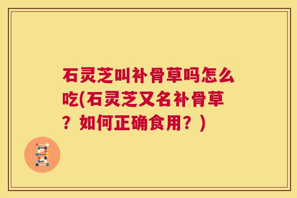 石灵芝叫补骨草吗怎么吃(石灵芝又名补骨草?如何正确食用?) 第1张 石灵芝叫补骨草吗怎么吃(石灵芝又名补骨草?如何正确食用?) 第1张