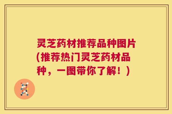 灵芝药材推荐品种图片(推荐热门灵芝药材品种,一图带你了解!) 第1张 灵芝药材推荐品种图片(推荐热门灵芝药材品种,一图带你了解!) 第1张
