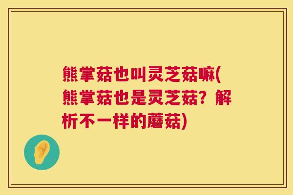 熊掌菇也叫灵芝菇嘛(熊掌菇也是灵芝菇?解析不一样的蘑菇) 第1张 熊掌菇也叫灵芝菇嘛(熊掌菇也是灵芝菇?解析不一样的蘑菇) 第1张