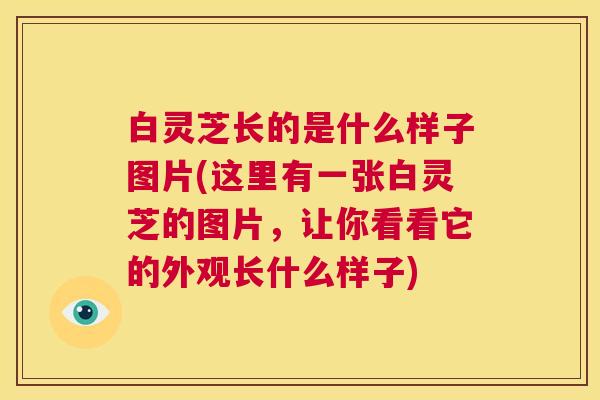 白灵芝长的是什么样子图片(这里有一张白灵芝的图片,让你看看它的外观长什么样子) 第1张 白灵芝长的是什么样子图片(这里有一张白灵芝的图片,让你看看它的外观长什么样子) 第1张