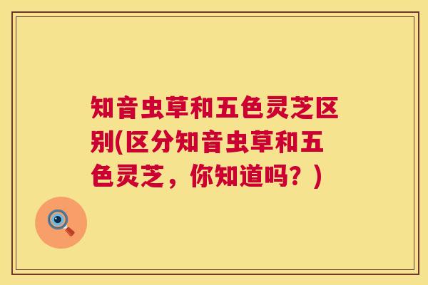 知音虫草和五色灵芝区别(区分知音虫草和五色灵芝,你知道吗?) 第1张 知音虫草和五色灵芝区别(区分知音虫草和五色灵芝,你知道吗?) 第1张