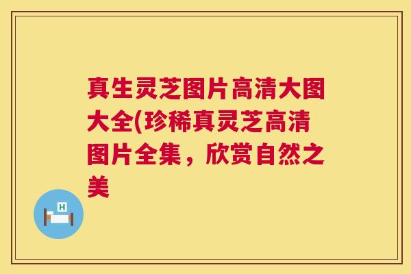 真生灵芝图片高清大图大全(珍稀真灵芝高清图片全集,欣赏自然之美 第1张 真生灵芝图片高清大图大全(珍稀真灵芝高清图片全集,欣赏自然之美 第1张