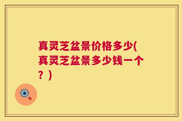 真灵芝盆景价格多少(真灵芝盆景多少钱一个?) 第1张 真灵芝盆景价格多少(真灵芝盆景多少钱一个?) 第1张
