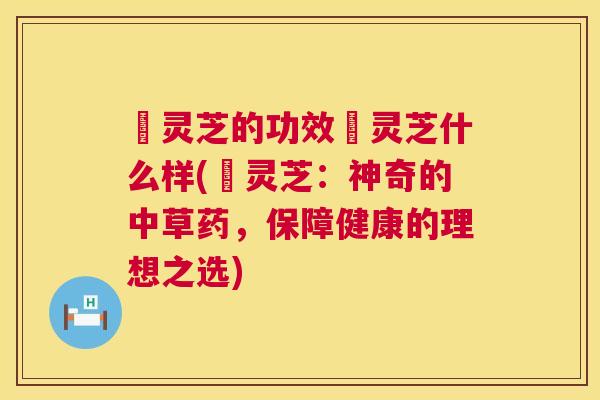 焄灵芝的功效焄灵芝什么样(焄灵芝:神奇的中草药,保障健康的理想之选) 第1张 焄灵芝的功效焄灵芝什么样(焄灵芝:神奇的中草药,保障健康的理想之选) 第1张