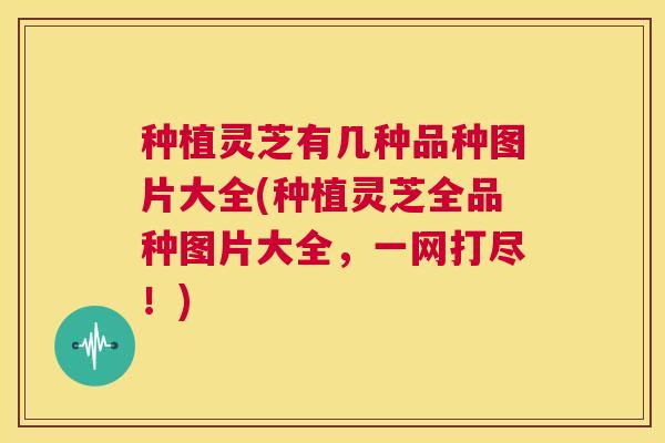 种植灵芝有几种品种图片大全(种植灵芝全品种图片大全,一网打尽!) 第1张 种植灵芝有几种品种图片大全(种植灵芝全品种图片大全,一网打尽!) 第1张