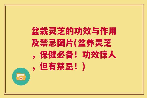 盆栽灵芝的功效与作用及禁忌图片(盆养灵芝,保健必备!功效惊人,但有禁忌!) 第1张 盆栽灵芝的功效与作用及禁忌图片(盆养灵芝,保健必备!功效惊人,但有禁忌!) 第1张