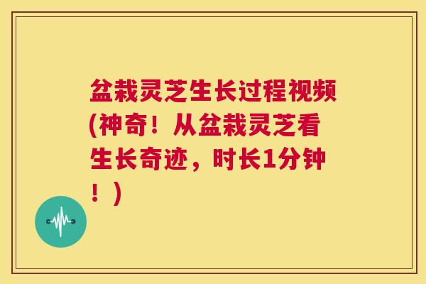 盆栽灵芝生长过程视频(神奇!从盆栽灵芝看生长奇迹,时长1分钟!) 第1张 盆栽灵芝生长过程视频(神奇!从盆栽灵芝看生长奇迹,时长1分钟!) 第1张