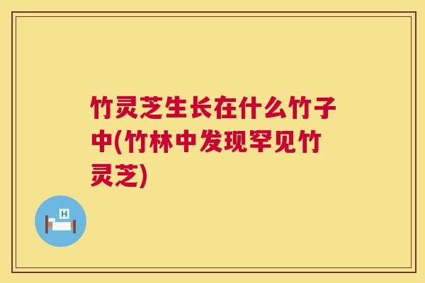 竹灵芝生长在什么竹子中(竹林中发现罕见竹灵芝) 第1张 竹灵芝生长在什么竹子中(竹林中发现罕见竹灵芝) 第1张