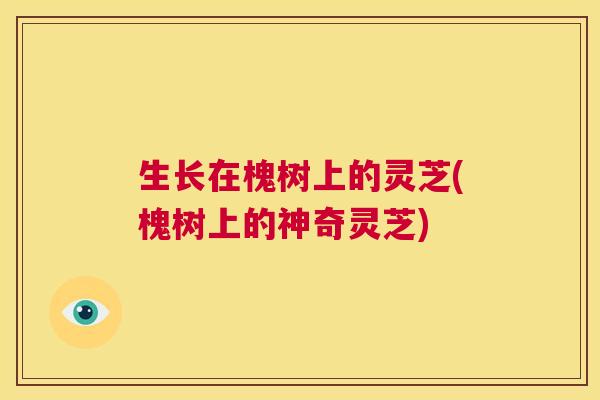生长在槐树上的灵芝(槐树上的神奇灵芝) 第1张 生长在槐树上的灵芝(槐树上的神奇灵芝) 第1张