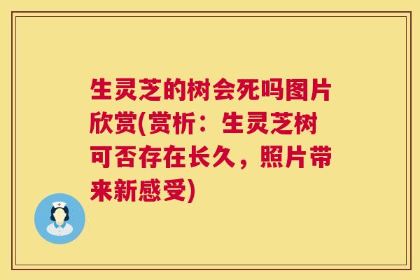 生灵芝的树会死吗图片欣赏(赏析:生灵芝树可否存在长久,照片带来新感受) 第1张 生灵芝的树会死吗图片欣赏(赏析:生灵芝树可否存在长久,照片带来新感受) 第1张