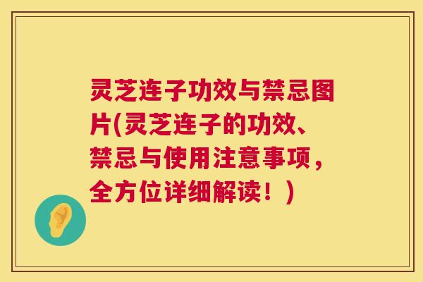 灵芝连子功效与禁忌图片(灵芝连子的功效、禁忌与使用注意事项,全方位详细解读!) 第1张 灵芝连子功效与禁忌图片(灵芝连子的功效、禁忌与使用注意事项,全方位详细解读!) 第1张