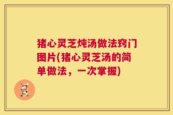 猪心灵芝炖汤做法窍门图片(猪心灵芝汤的简单做法,一次掌握) 第1张 猪心灵芝炖汤做法窍门图片(猪心灵芝汤的简单做法,一次掌握) 第1张