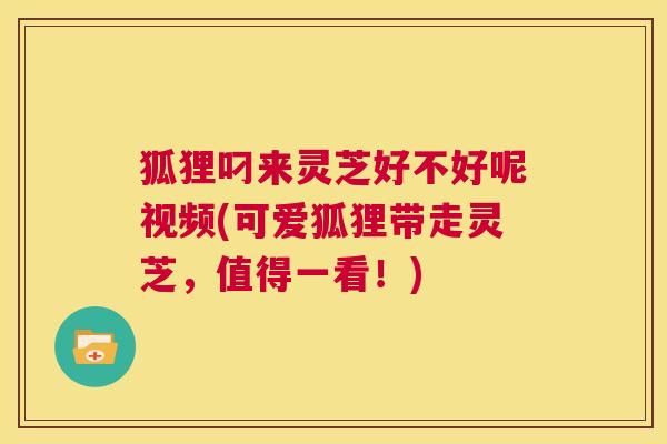 狐狸叼来灵芝好不好呢视频(可爱狐狸带走灵芝,值得一看!) 第1张 狐狸叼来灵芝好不好呢视频(可爱狐狸带走灵芝,值得一看!) 第1张