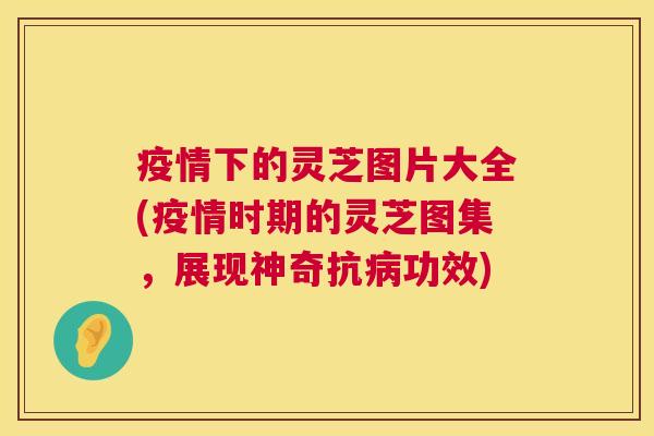 疫情下的灵芝图片大全(疫情时期的灵芝图集，展现神奇抗病功效)  第1张