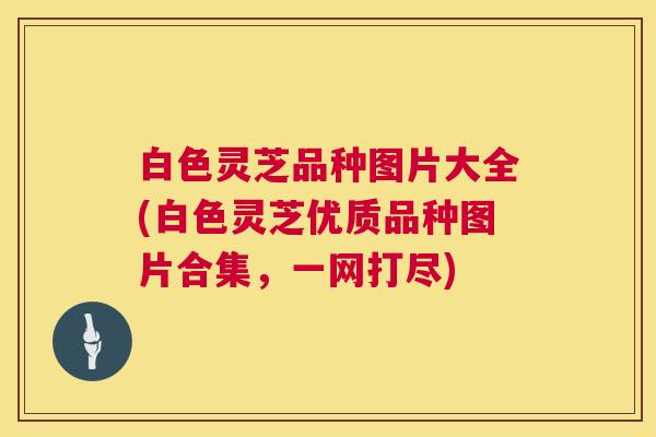 白色灵芝品种图片大全(白色灵芝优质品种图片合集,一网打尽) 第1张 白色灵芝品种图片大全(白色灵芝优质品种图片合集,一网打尽) 第1张