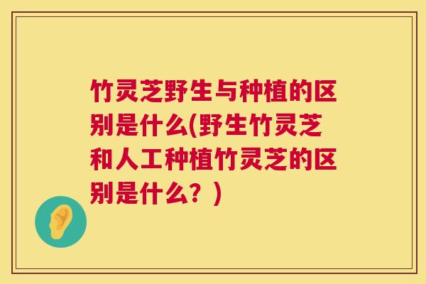 竹灵芝野生与种植的区别是什么(野生竹灵芝和人工种植竹灵芝的区别是什么?) 第1张 竹灵芝野生与种植的区别是什么(野生竹灵芝和人工种植竹灵芝的区别是什么?) 第1张
