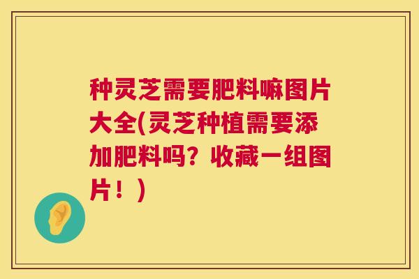种灵芝需要肥料嘛图片大全(灵芝种植需要添加肥料吗?收藏一组图片!) 第1张 种灵芝需要肥料嘛图片大全(灵芝种植需要添加肥料吗?收藏一组图片!) 第1张